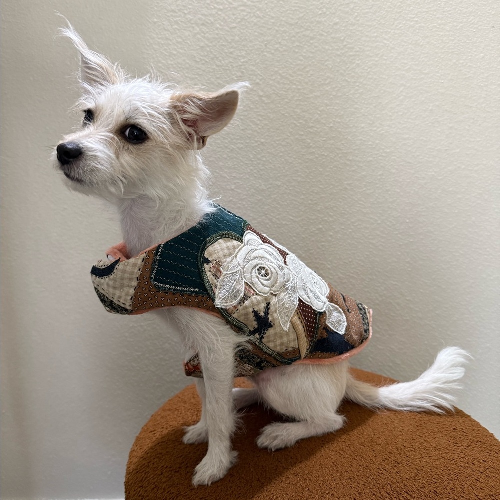 Patchwork Dog Jacket - Multicolor